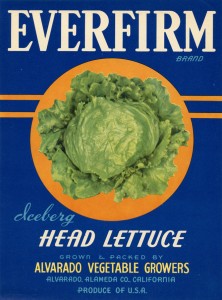 Everfirm, Grown and Packed, Alvarado Vegetable Growers, Alvarado, Alameda, Co., California 
